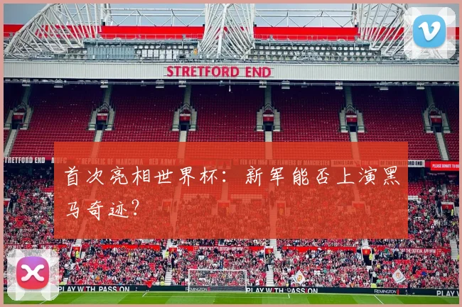 首次亮相世界杯：新军能否上演黑马奇迹？