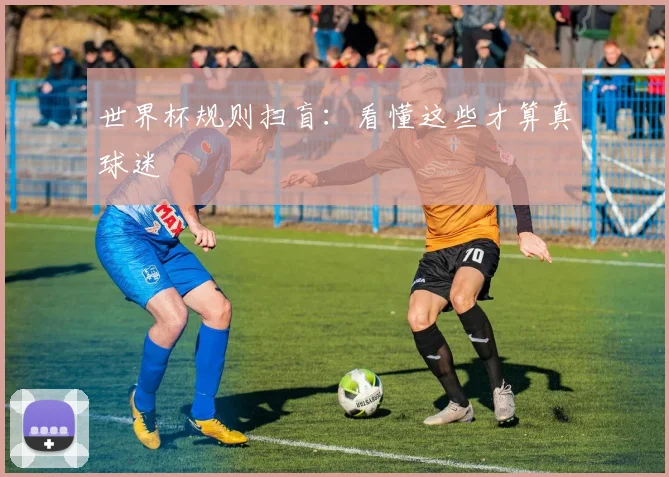 世界杯规则扫盲：看懂这些才算真球迷