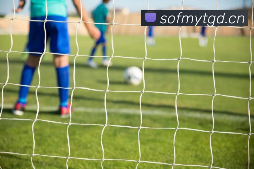 多媒体互动体验